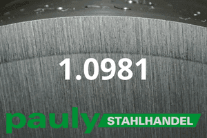 Stahl Werkstoff-Nr.: 1.0981 Datenblatt